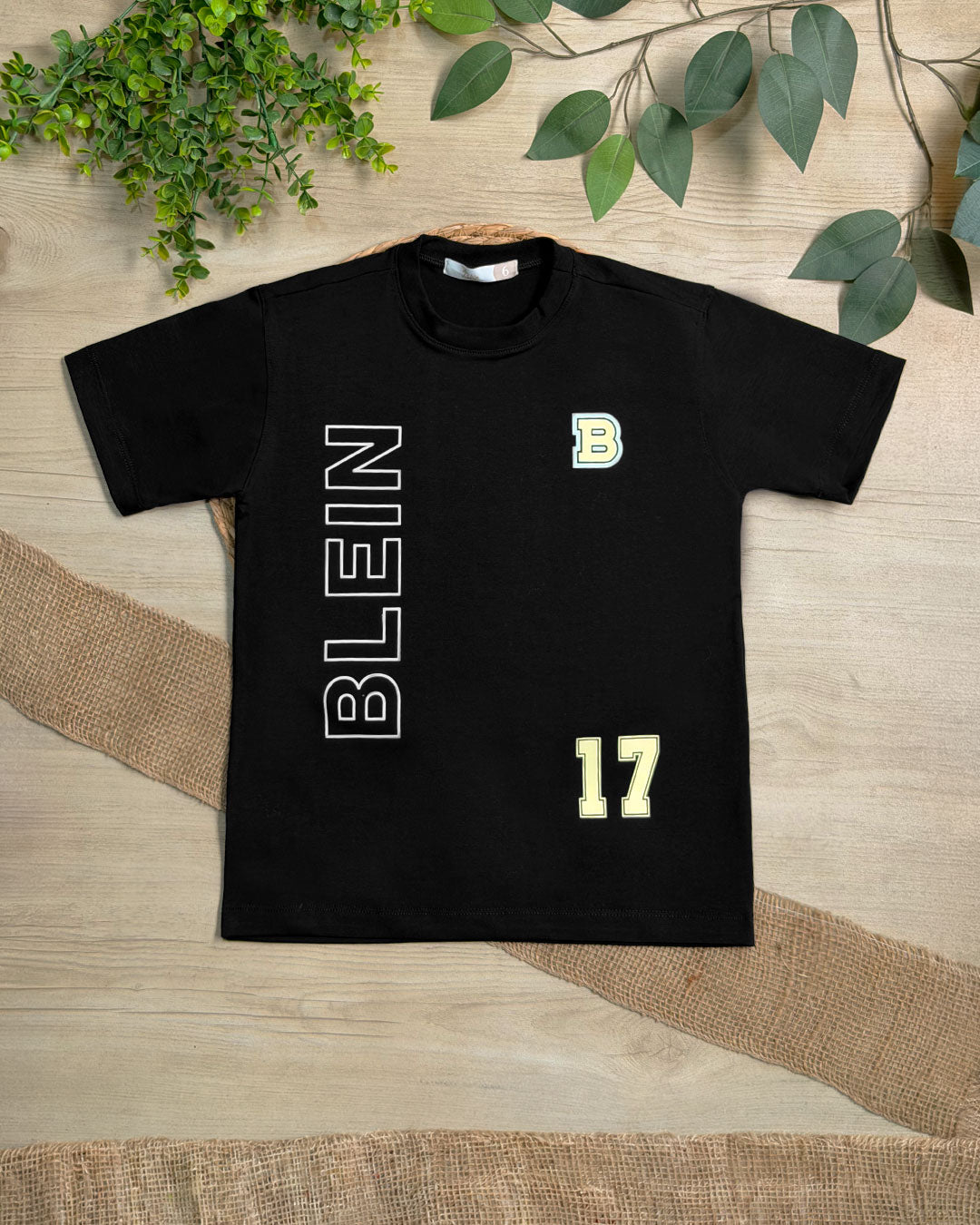 CAM BLEIN 17- Blein Cod. 430094