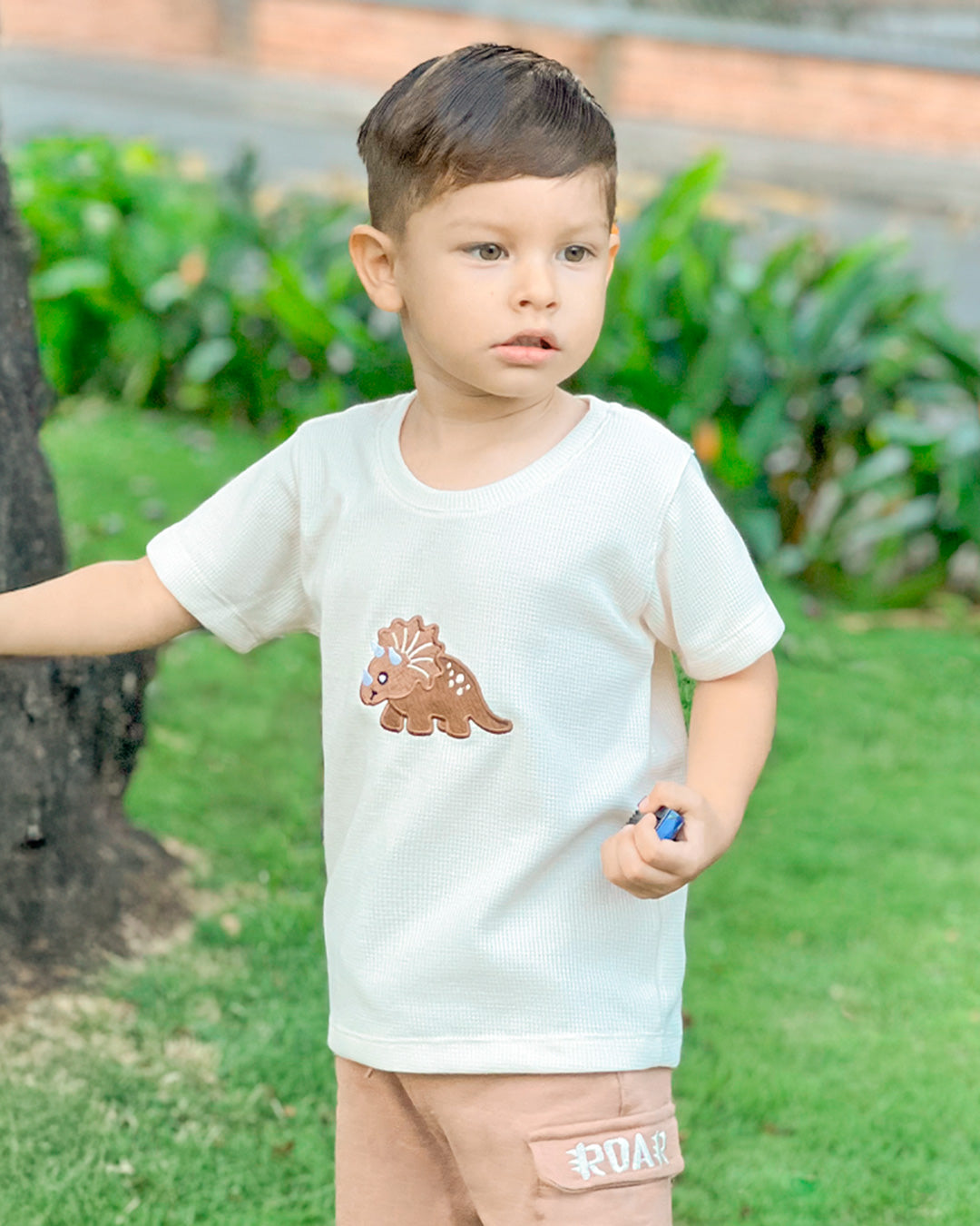Conjunto Triceratops - Blein Cod. 421817