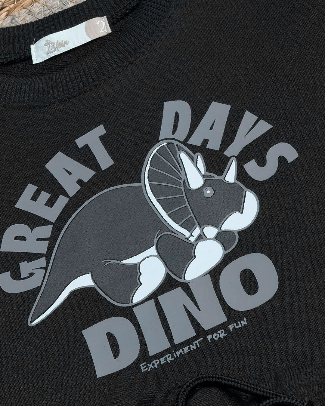 CONJ. DINO GREAT - Blein Cod. 4211037