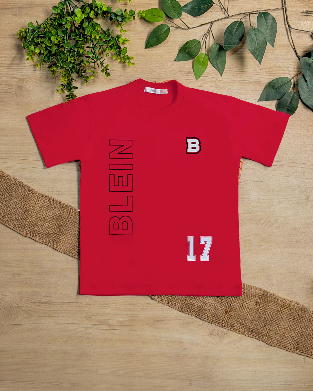 CAM BLEIN 17- Blein Cod. 430094