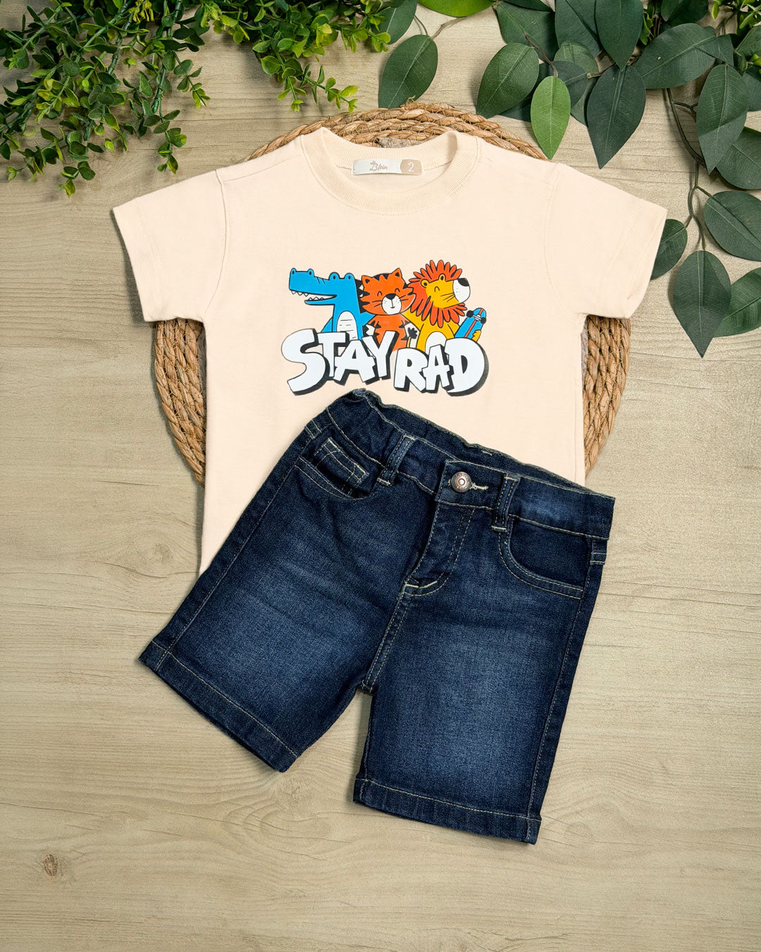 CONJ. STAY RAD - Blein Cod. 4211053